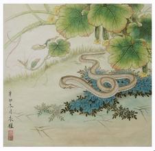 卧室贴蛇的图画风水不好