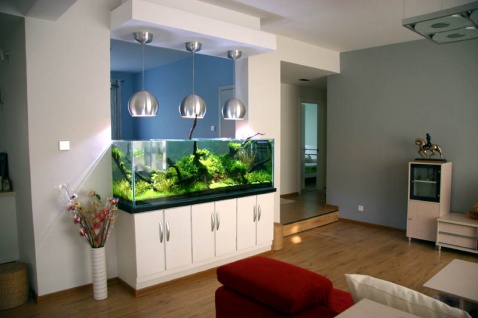 风水问答:在客厅中摆放鱼缸有哪些需要注意的问题?