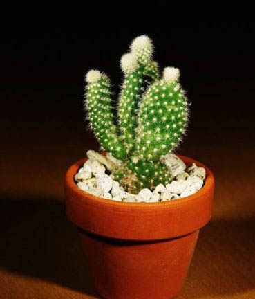 求职升迁职场开运法